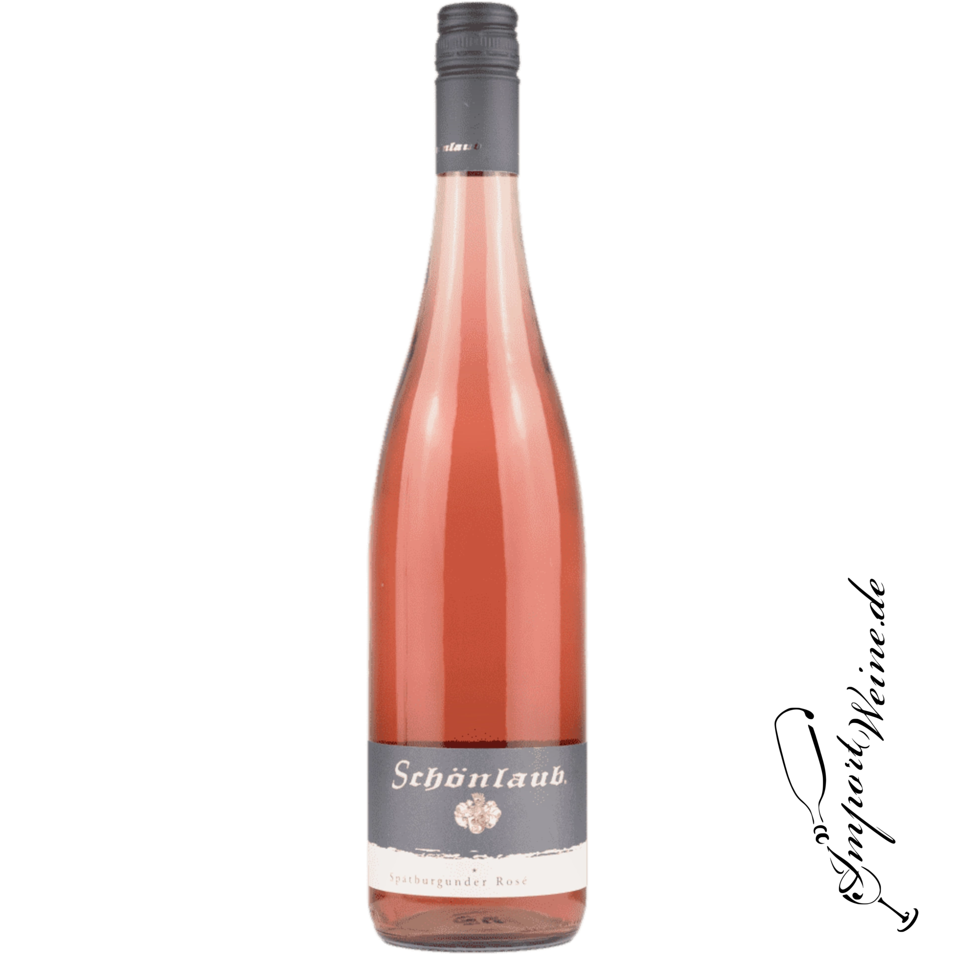 Weingut Schönlaub Spätburgunder * Rosé trocken 2024