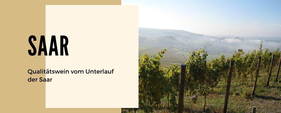 Weinanbaugebiet Saar in Deutschland