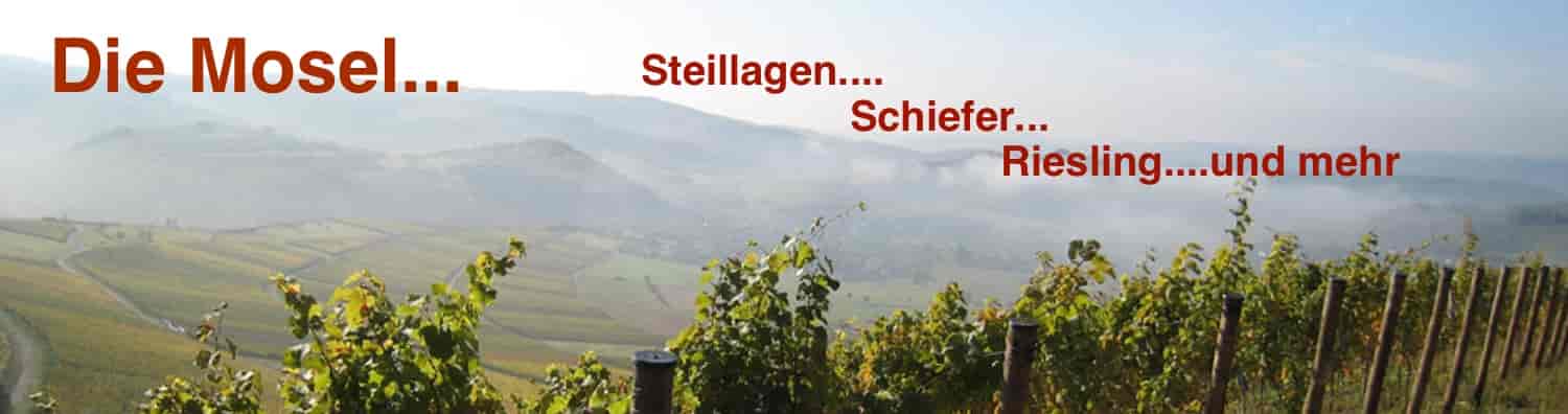Riesling Die Königin der Weißweinreben hier ist Ihre Heimat Riesling Weine der Mosel