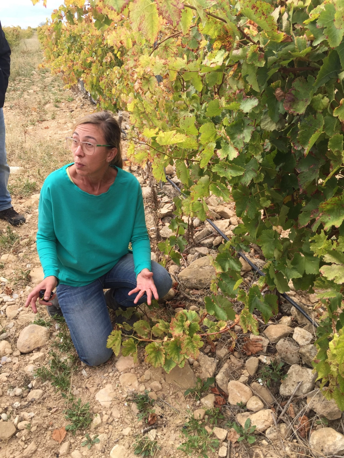 Bodegas Caudalia Paal 01
