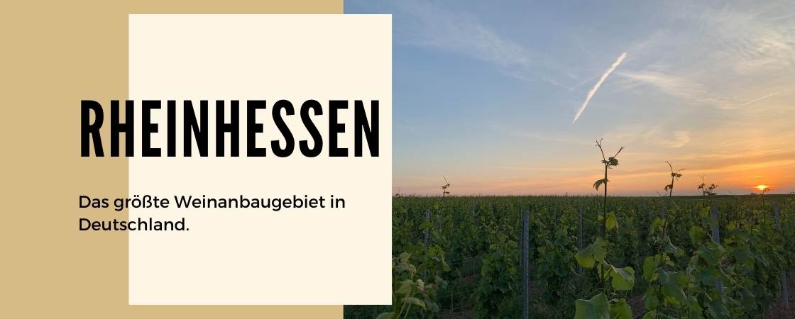 Weinanbaugebiet Rheinhessen in Deutschland