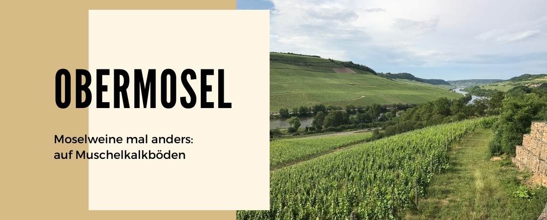 Weinanbaugebiet Obermosel in Deutschland