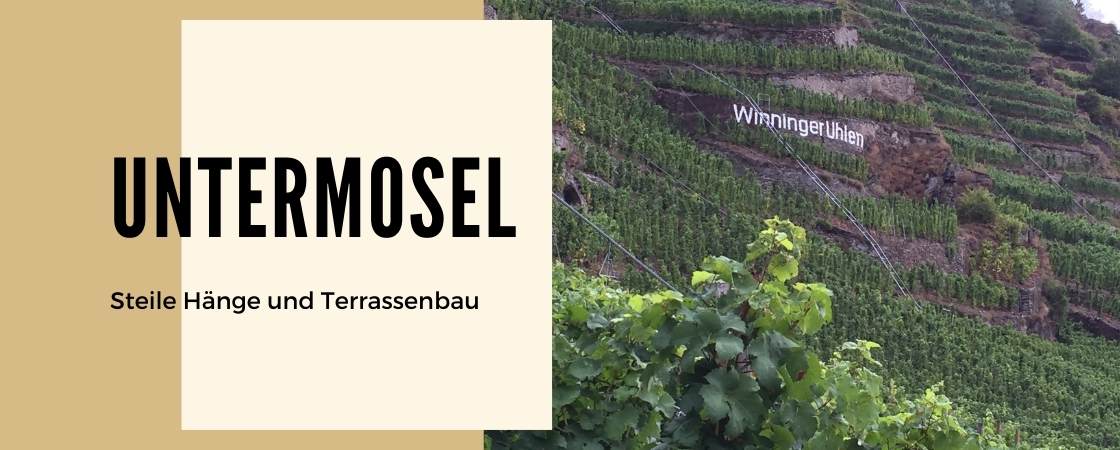 Weinanbaugebiet Untermosel in Deutschland