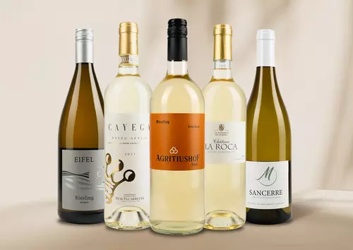 Diverse Weißweine aus Deutschland, Mosel, Pfalz, Saar, Italien und Spanien. Diese Weine können bei uns im Onlineshop bestellt werden.