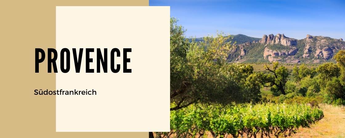 Weinanbaugebiet Provence in Frankreich
