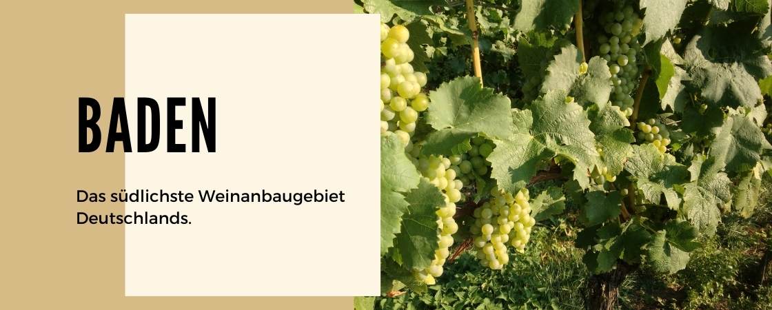 Weinanbaugebiet Baden in Deutschland