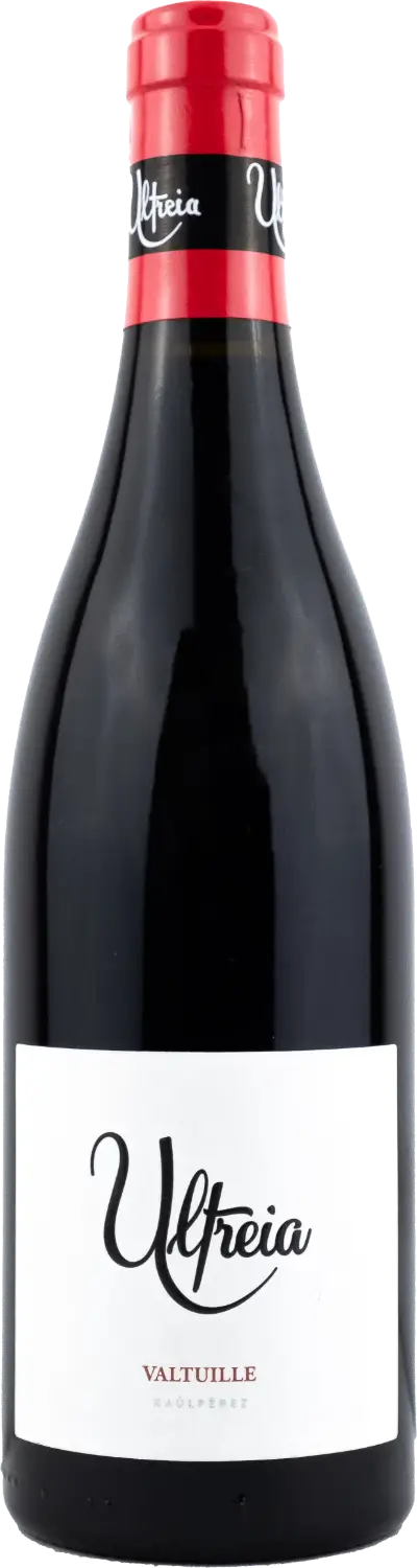 Raúl Pérez Ultreia Valtuille Bierzo 2016