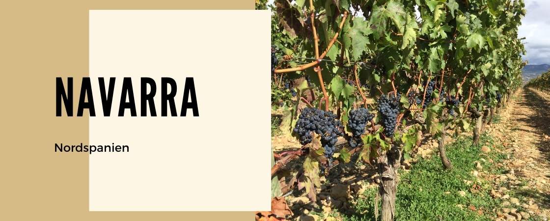 Weinanbaugebiet Navarra in Spanien