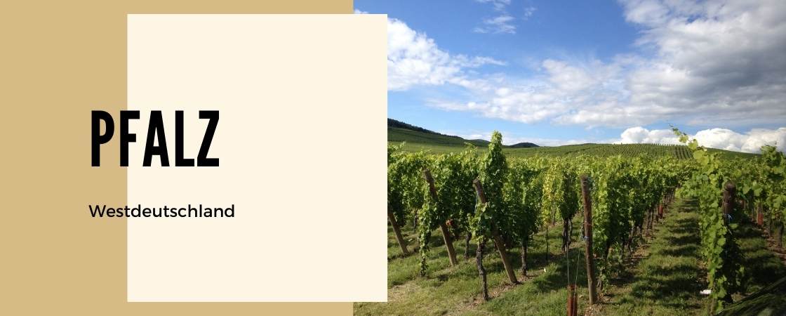 Weinanbaugebiet Pfalz in Deutschland