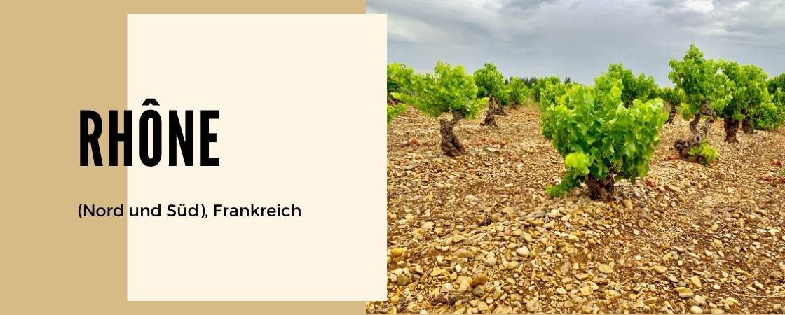 Weinanbaugebiet Rhone Nord und Süd in Frankreich