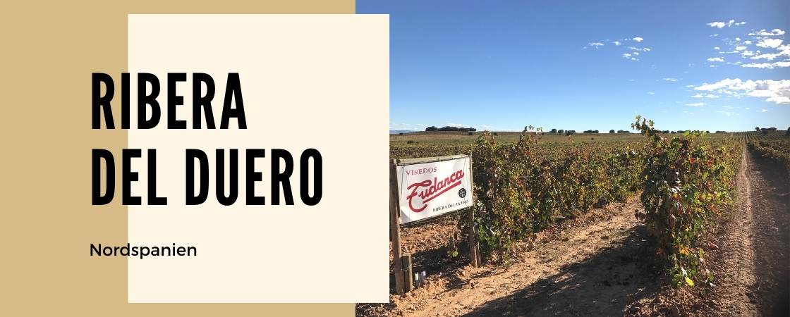Weinanbaugebiet Ribera del duero in Spanien