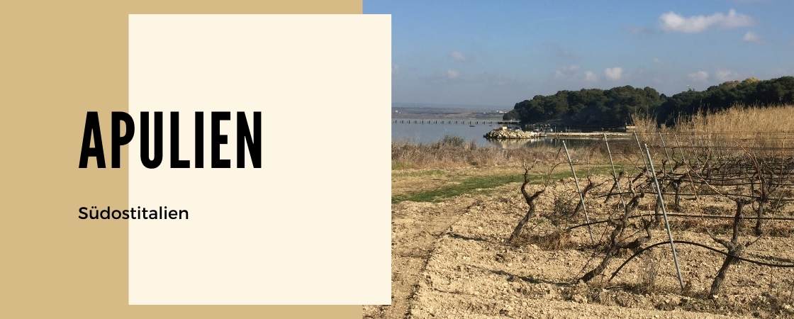 Weinanbaugebiet Apulien in Italien